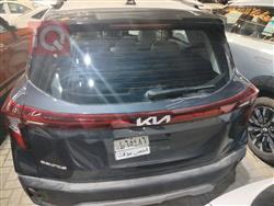 کیا سێلتۆس